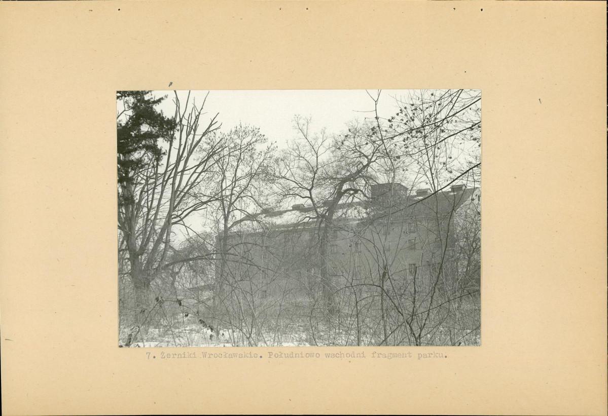 Ewidencja parkowa, skan nr 19