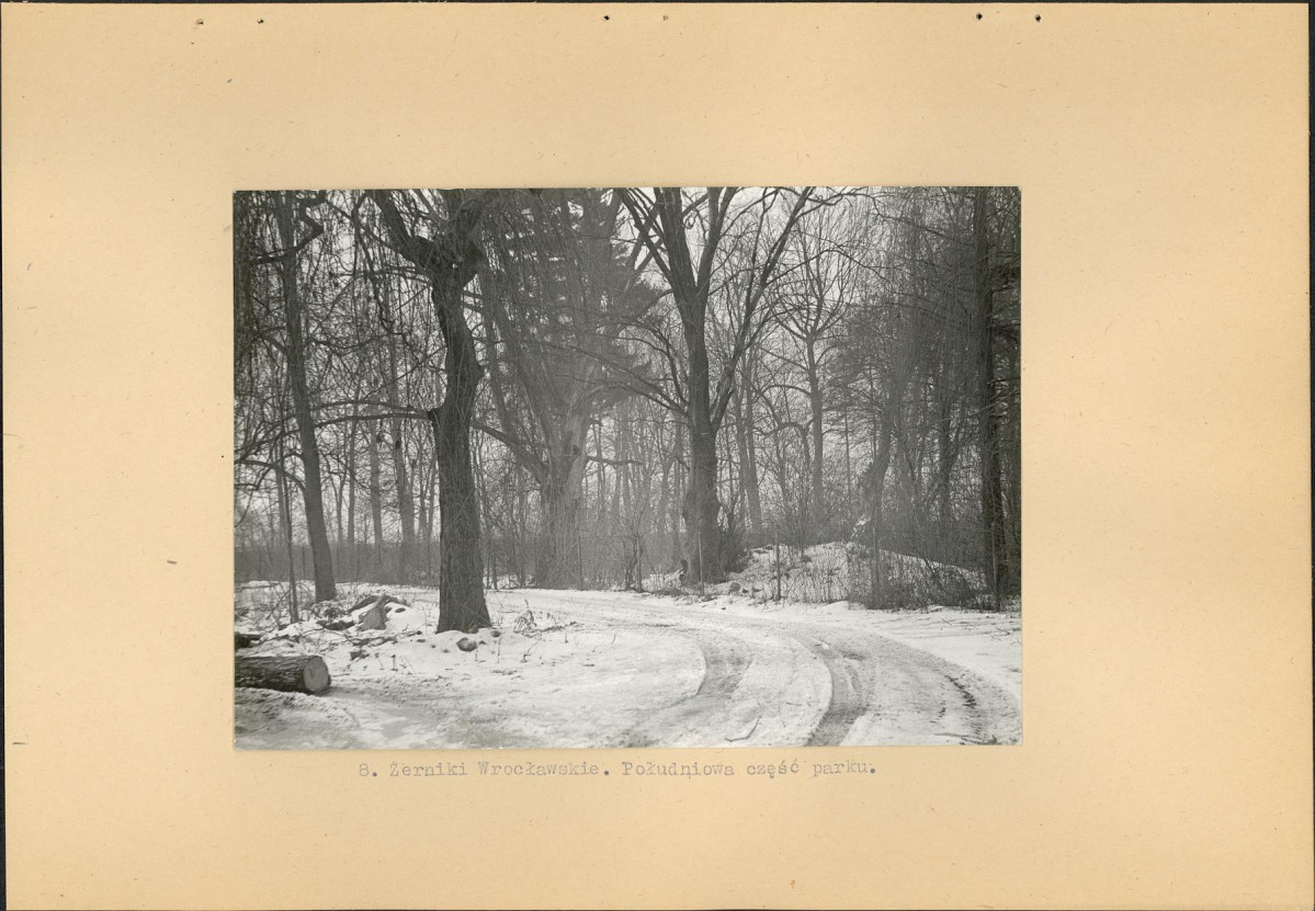Ewidencja parkowa, skan nr 20