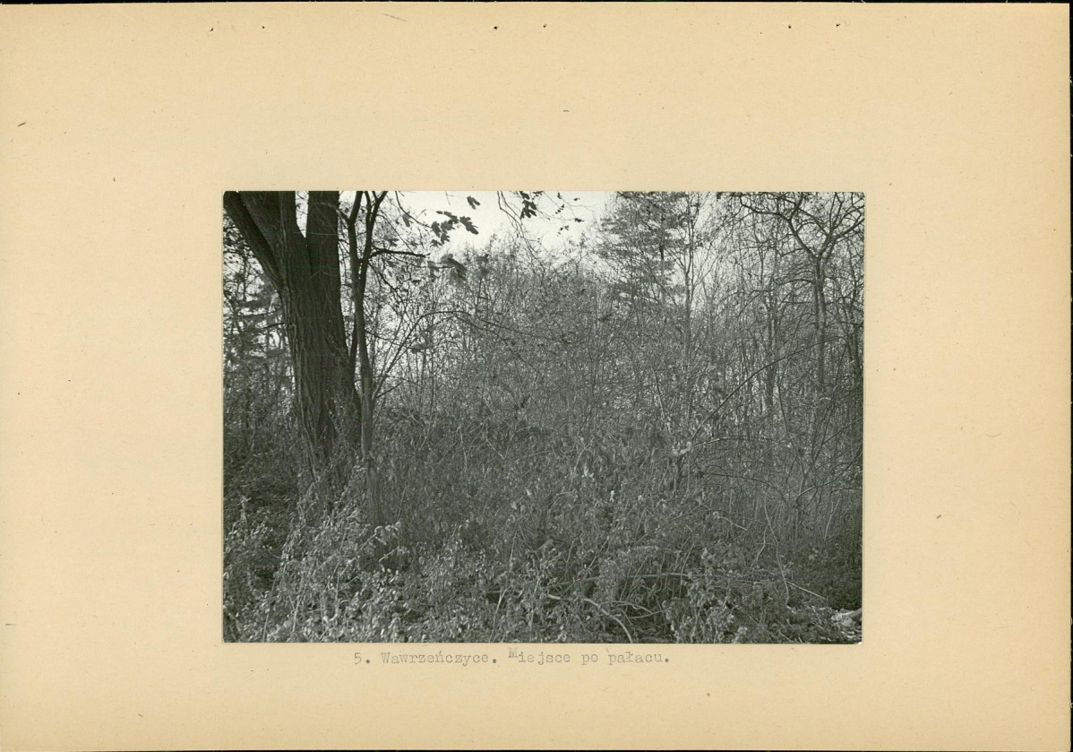 Ewidencja parkowa, skan nr 17