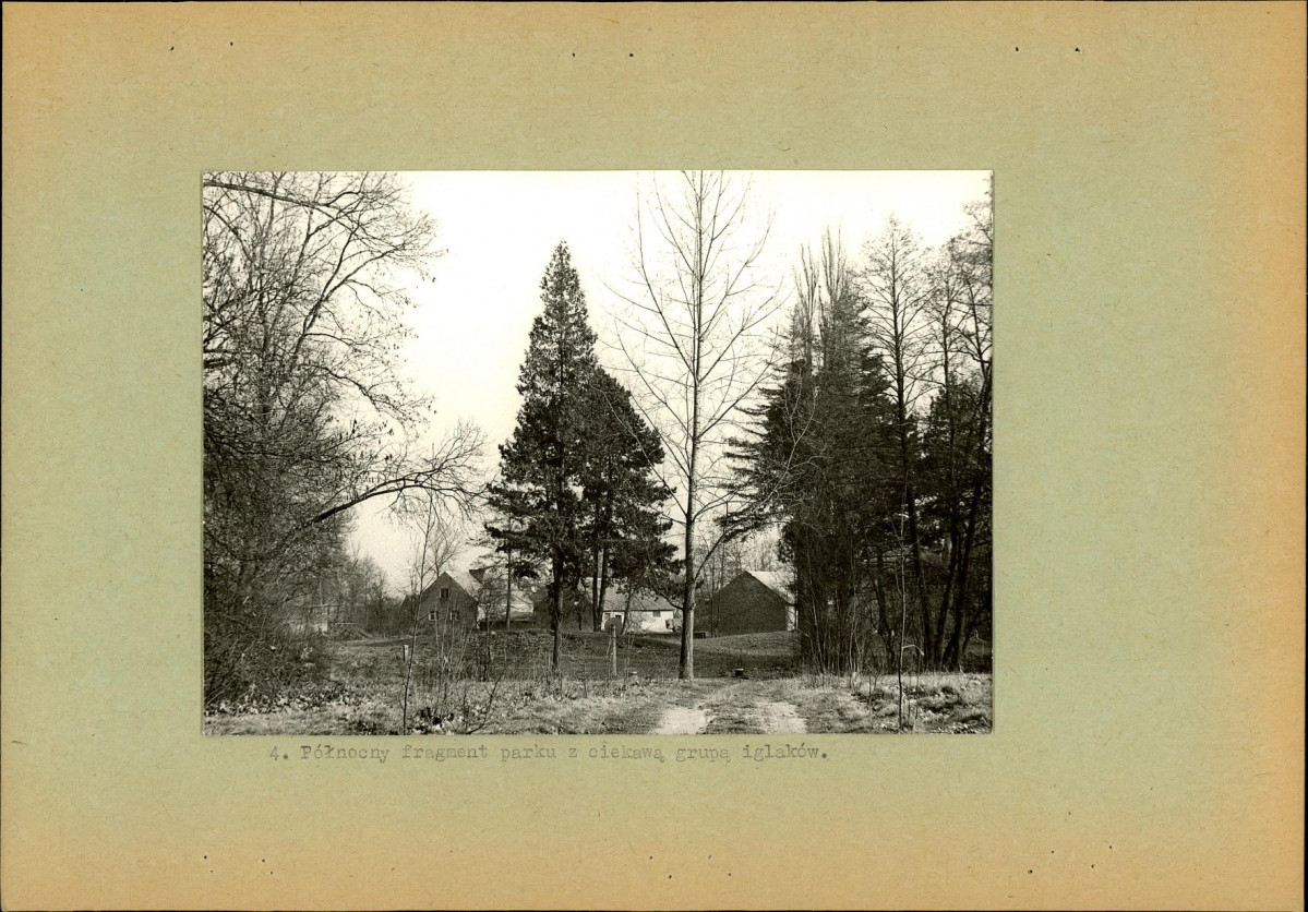 Ewidencja parkowa, skan nr 20