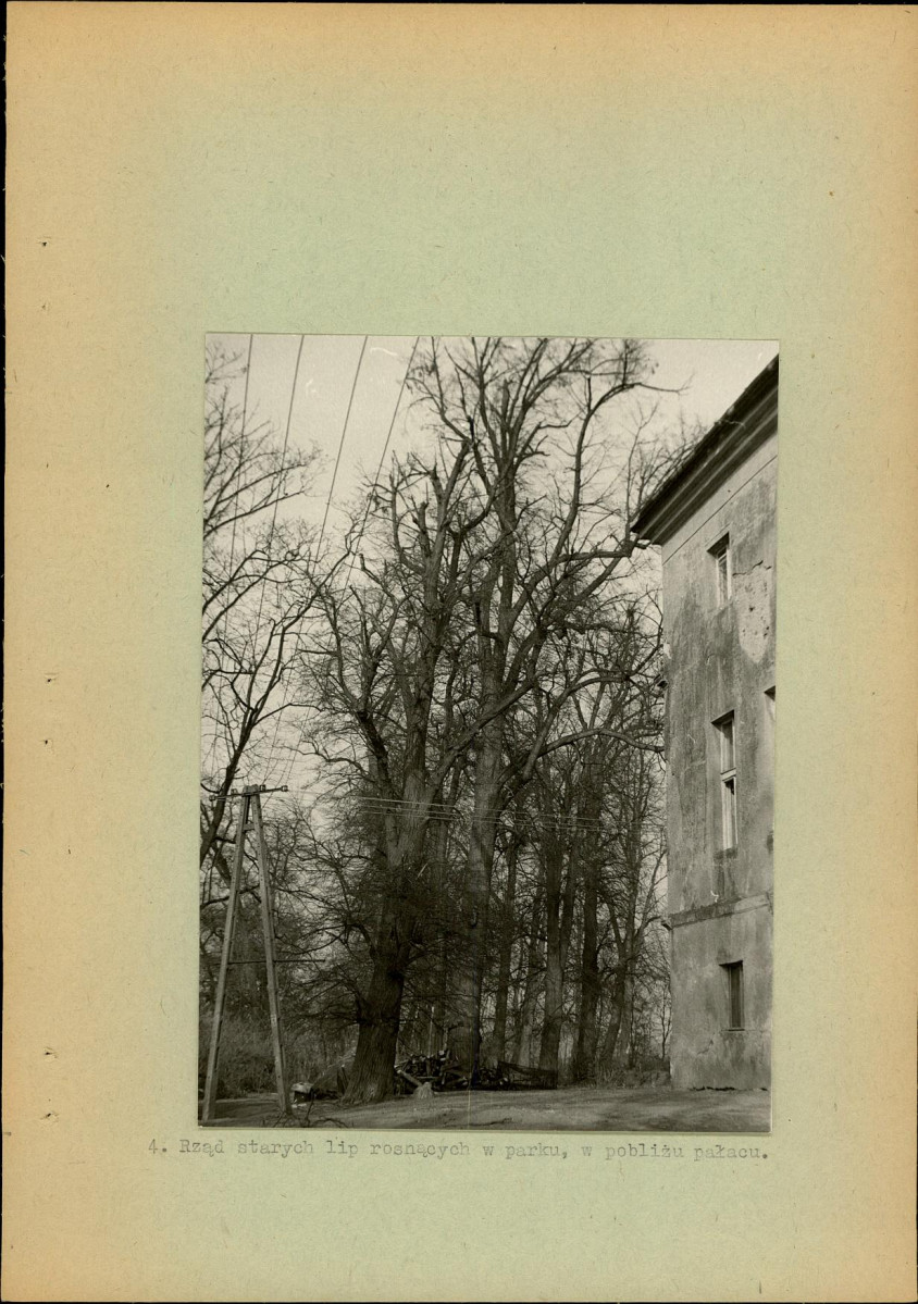 Ewidencja parkowa, skan nr 17