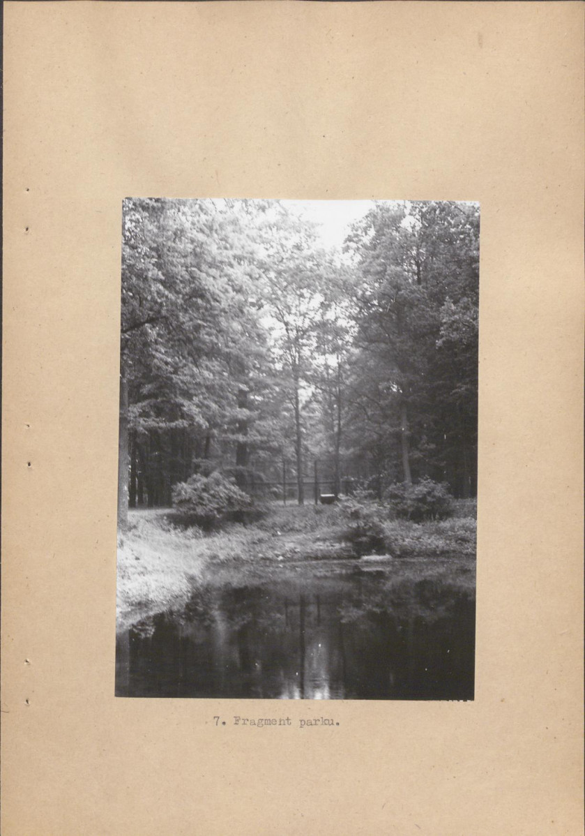 Ewidencja parkowa, skan nr 17
