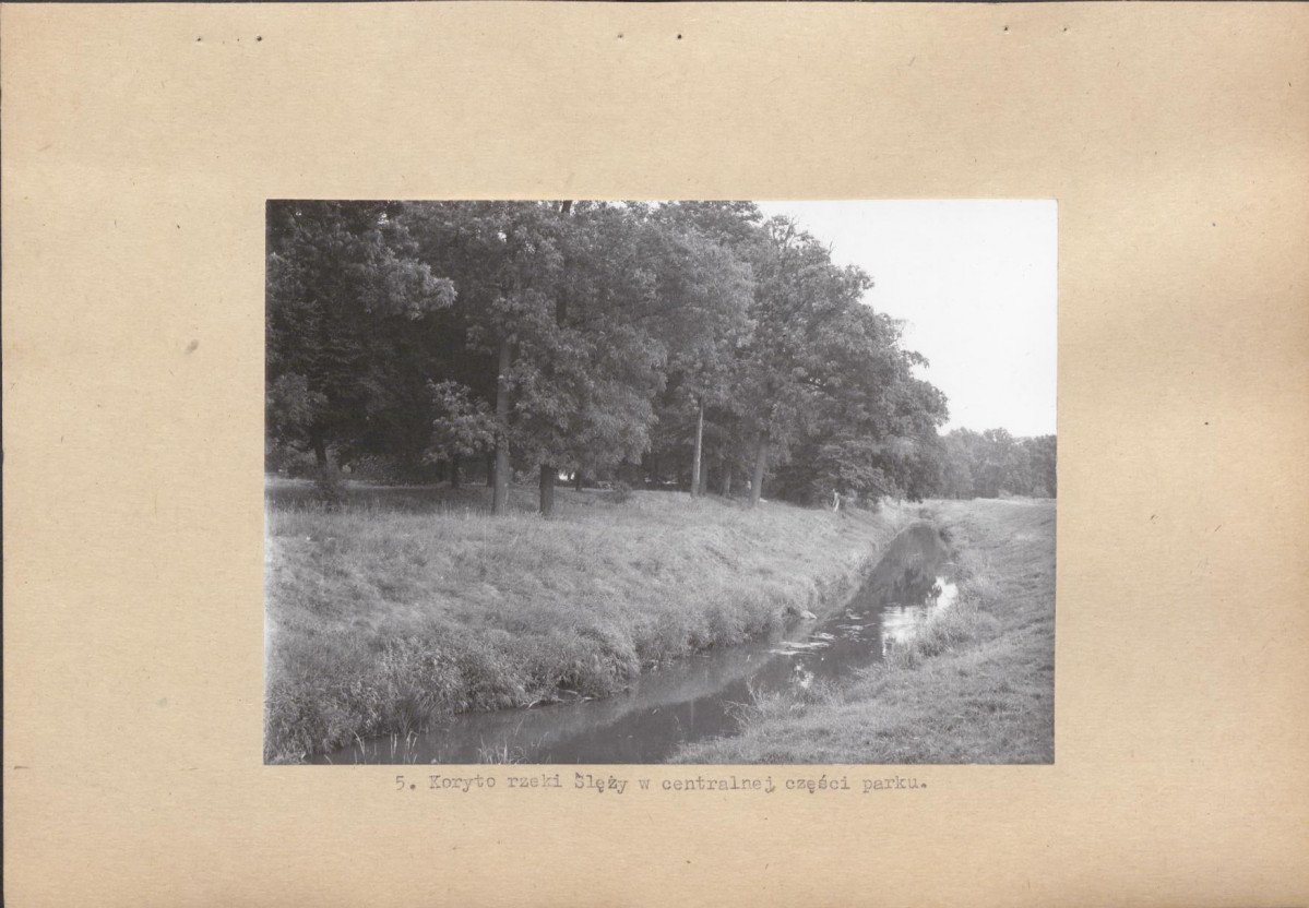 Ewidencja parkowa, skan nr 18