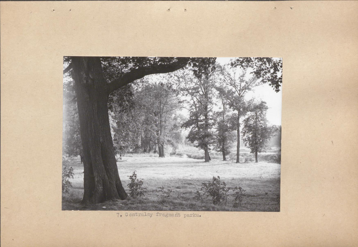 Ewidencja parkowa, skan nr 20