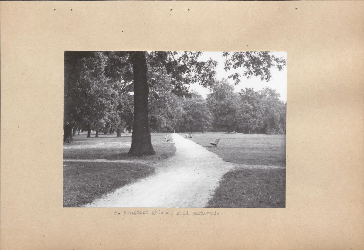 Ewidencja parkowa, skan nr 21