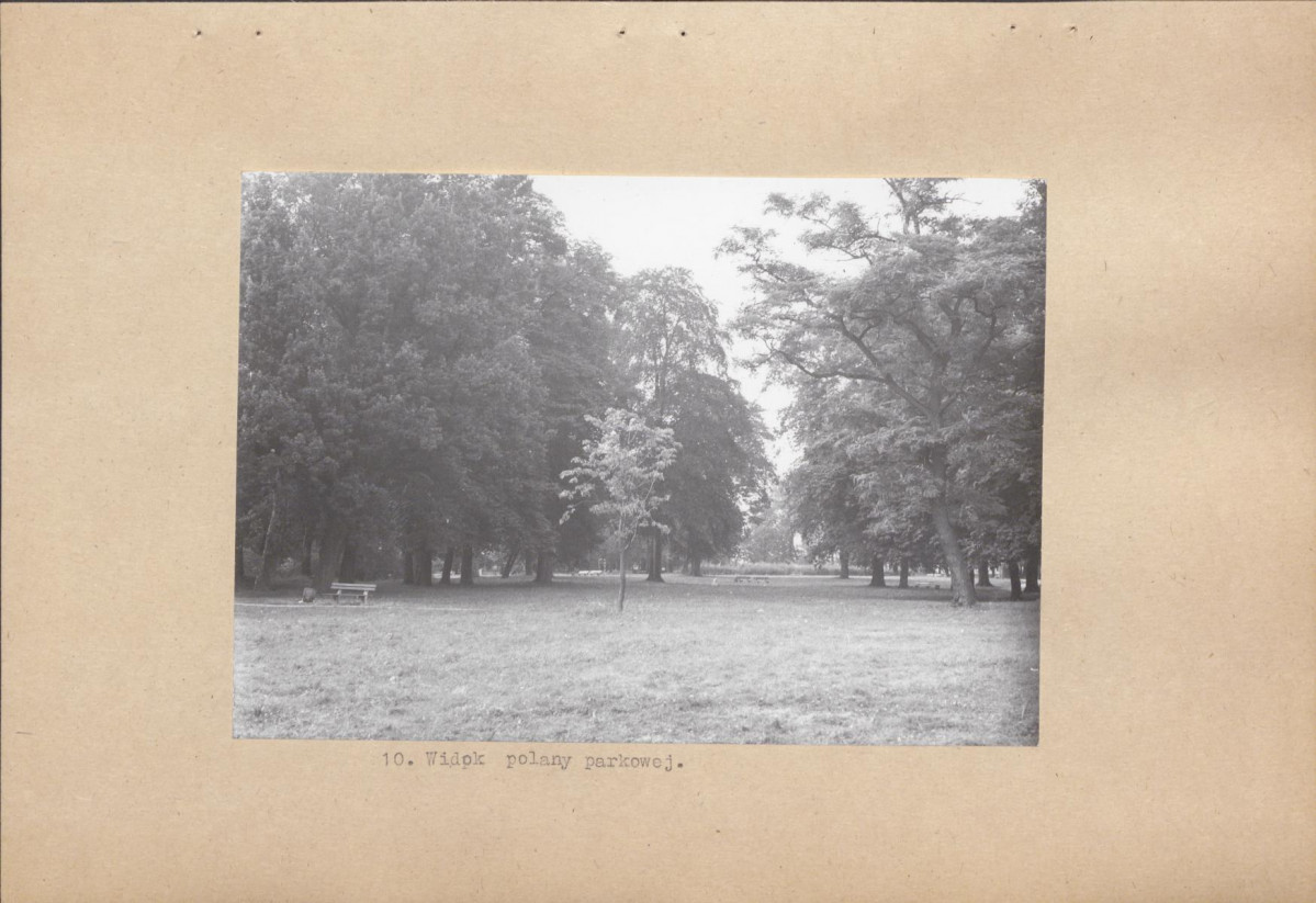 Ewidencja parkowa, skan nr 23