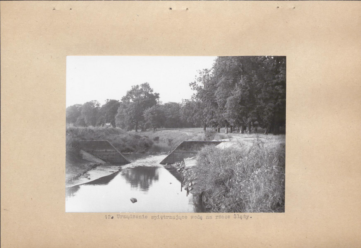 Ewidencja parkowa, skan nr 25