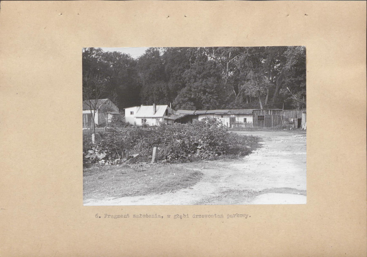 Ewidencja parkowa, skan nr 19