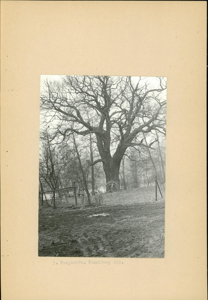 Ewidencja parkowa, skan nr 15