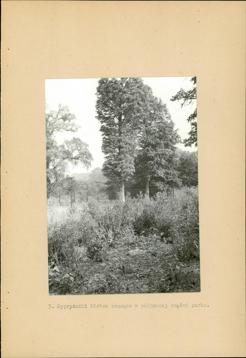 Ewidencja parkowa, skan nr 18