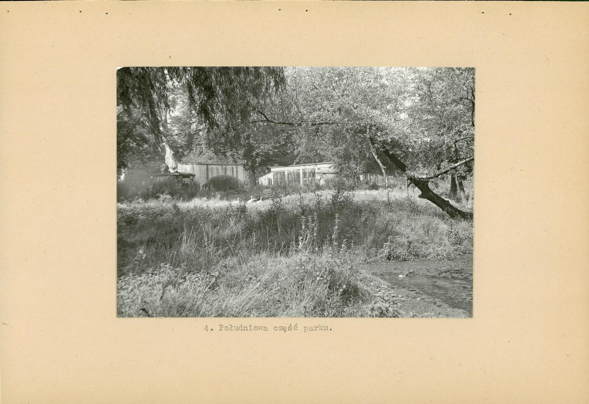 Ewidencja parkowa, skan nr 19