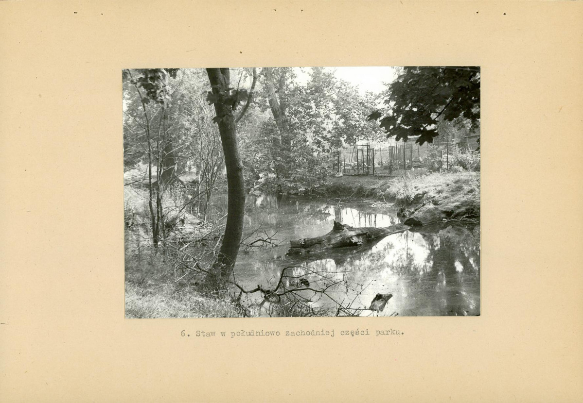 Ewidencja parkowa, skan nr 21