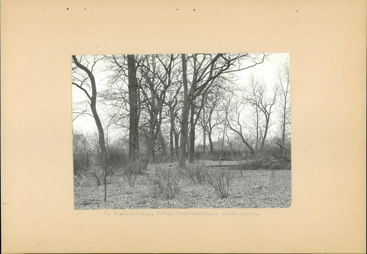 Ewidencja parkowa, skan nr 16