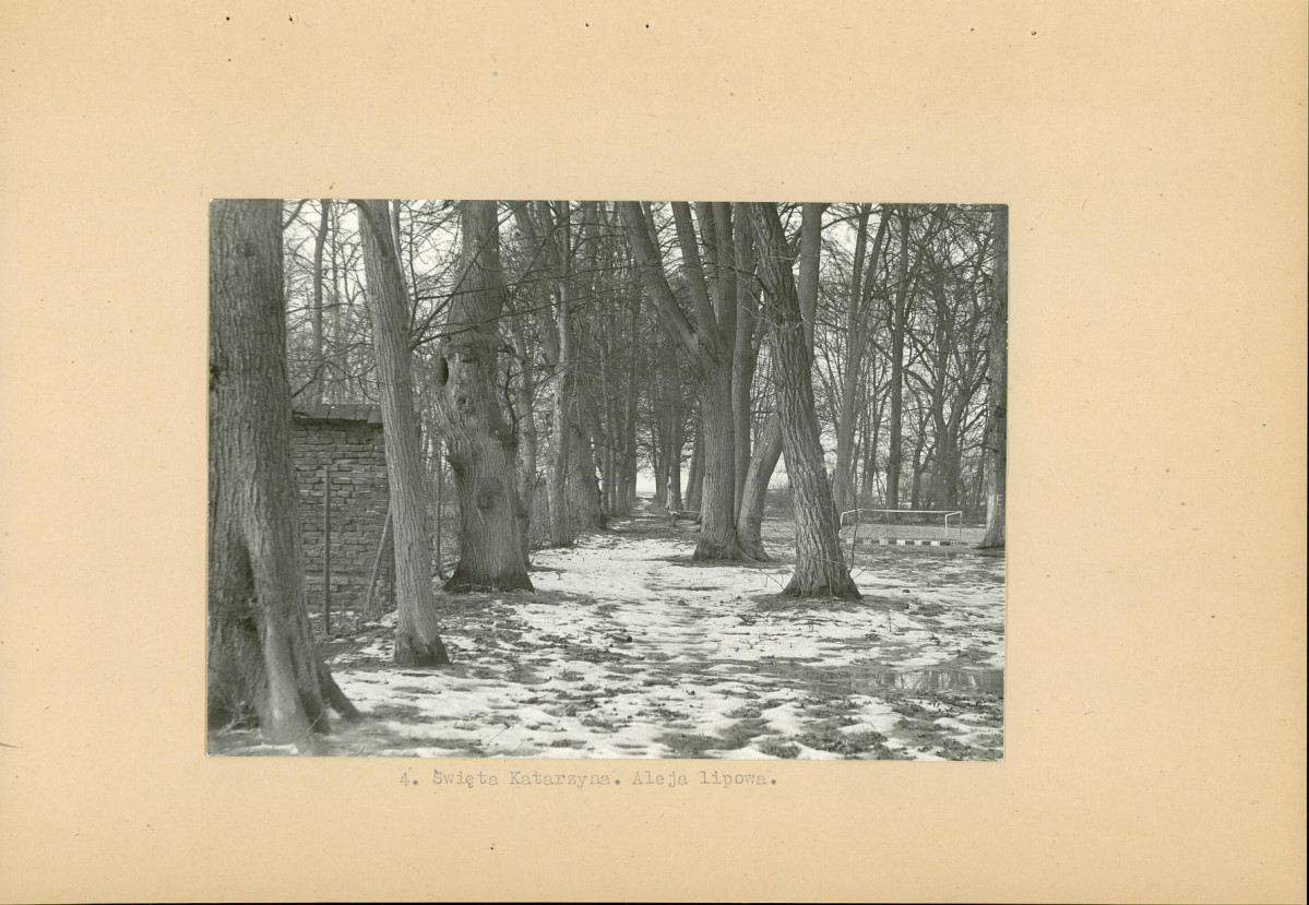 Ewidencja parkowa, skan nr 15