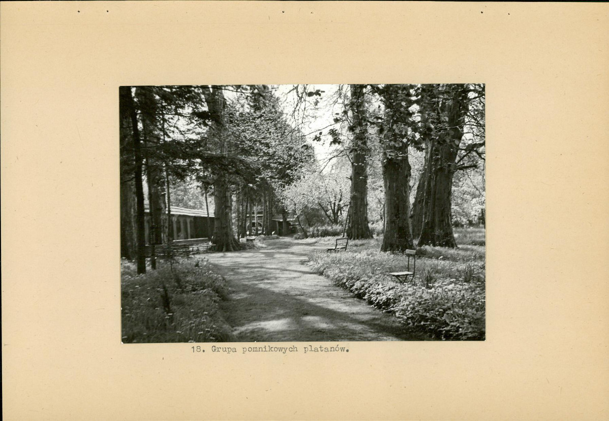 Ewidencja parkowa, skan nr 31