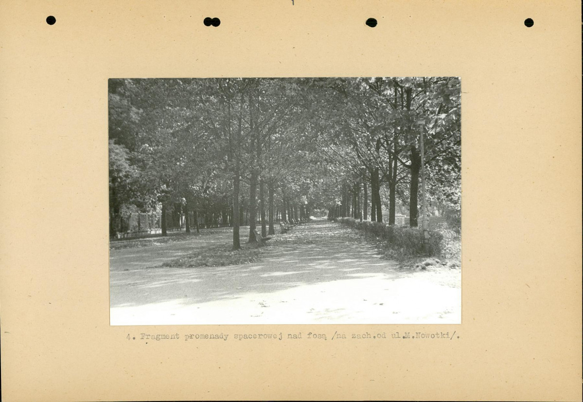 Ewidencja parkowa, skan nr 25