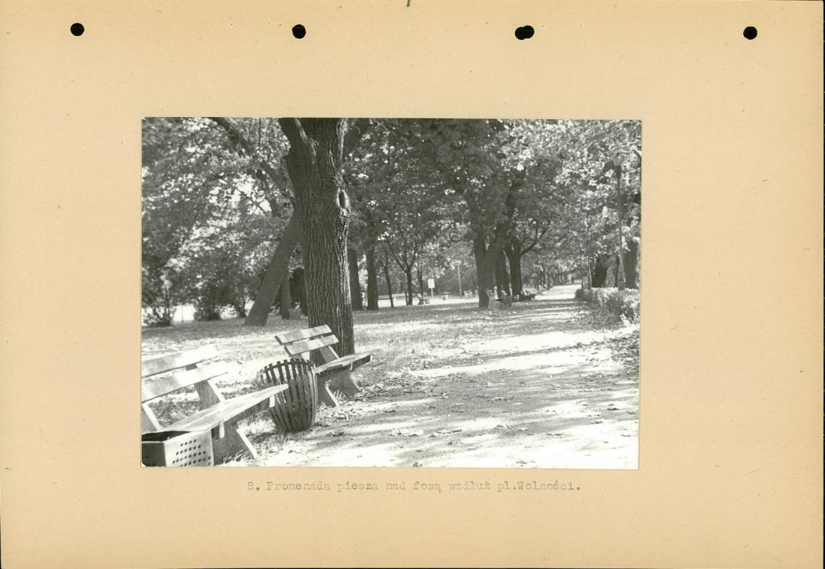 Ewidencja parkowa, skan nr 29