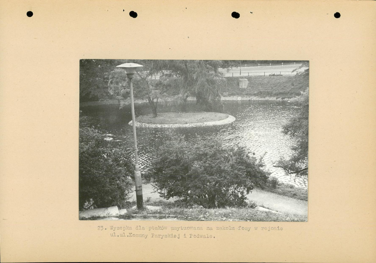 Ewidencja parkowa, skan nr 44