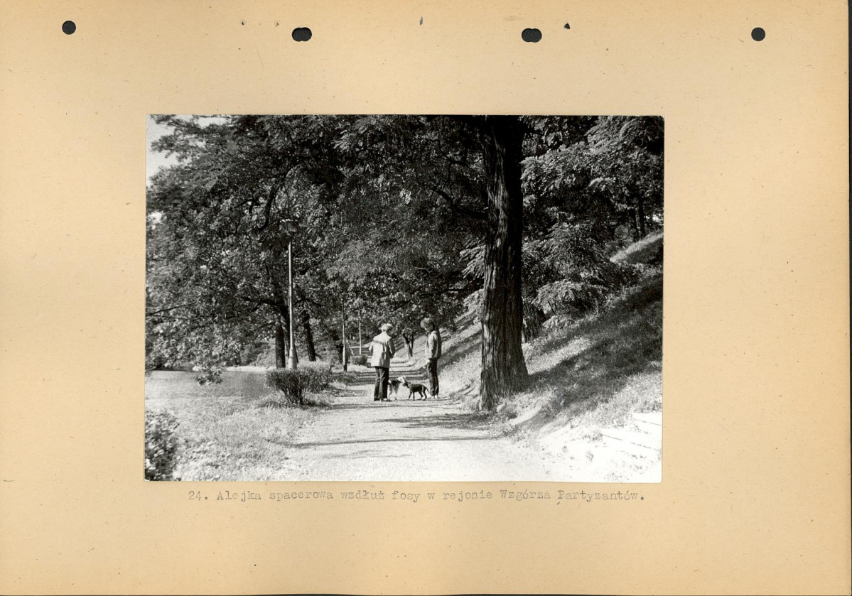 Ewidencja parkowa, skan nr 45