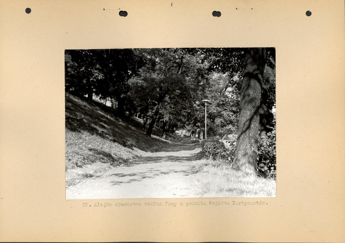 Ewidencja parkowa, skan nr 46