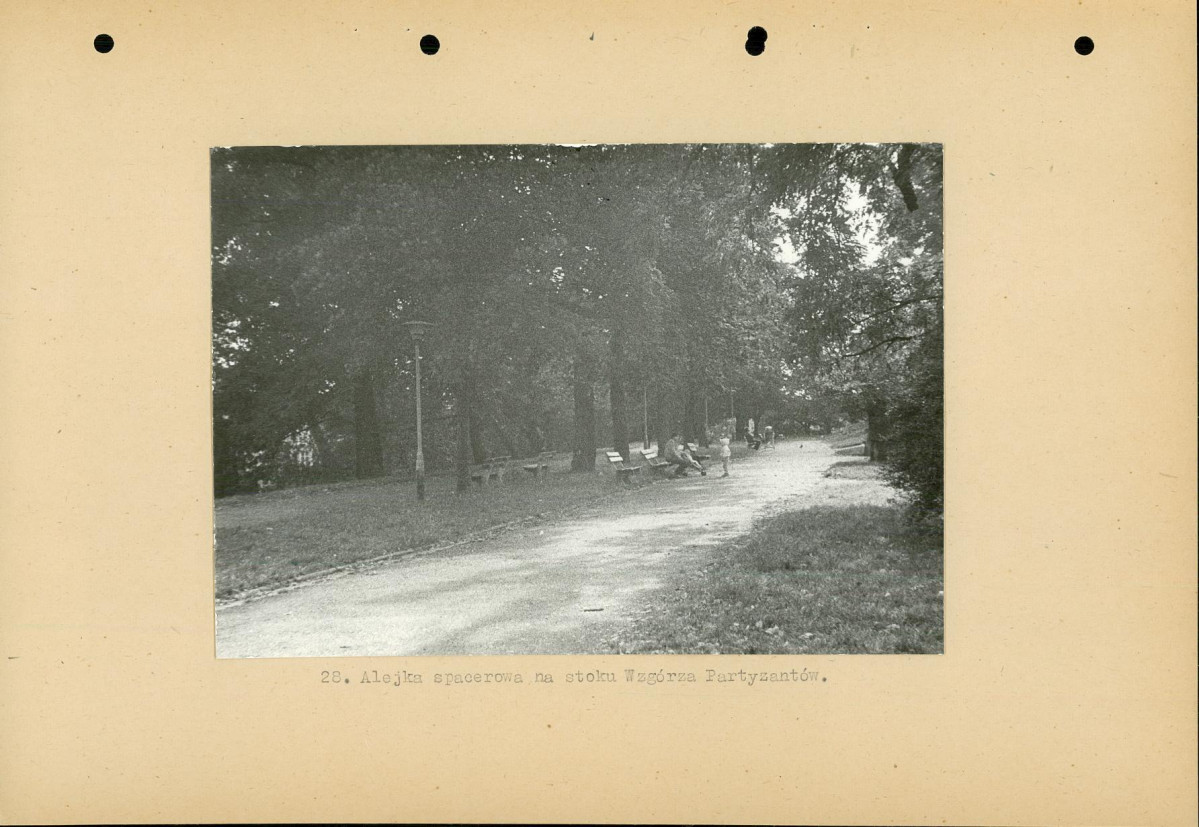 Ewidencja parkowa, skan nr 49