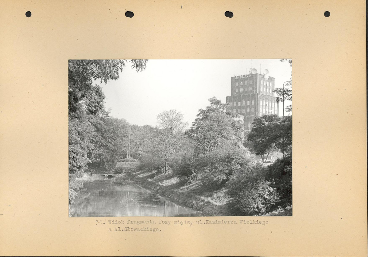 Ewidencja parkowa, skan nr 51