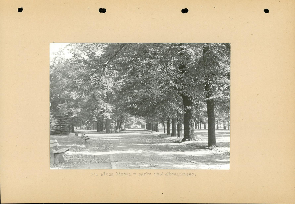 Ewidencja parkowa, skan nr 55