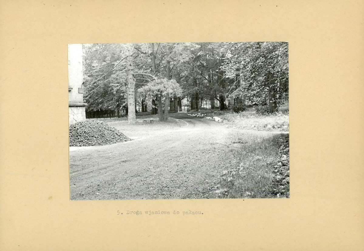 Ewidencja parkowa, skan nr 17