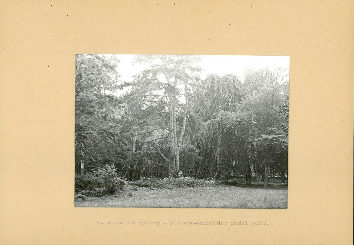 Ewidencja parkowa, skan nr 20