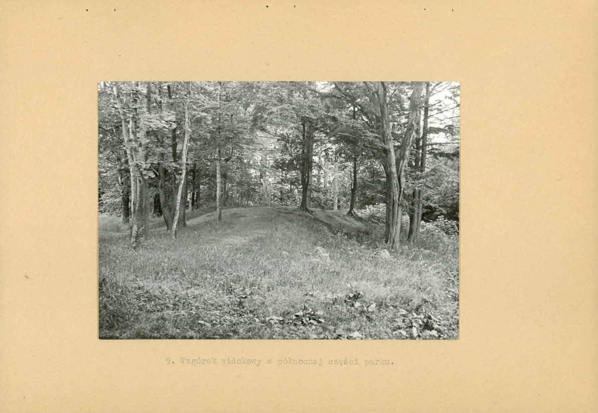 Ewidencja parkowa, skan nr 21