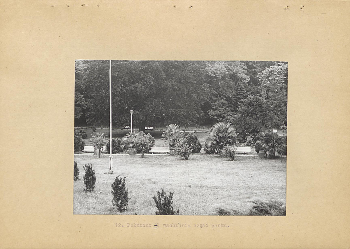 Ewidencja parkowa, skan nr 24