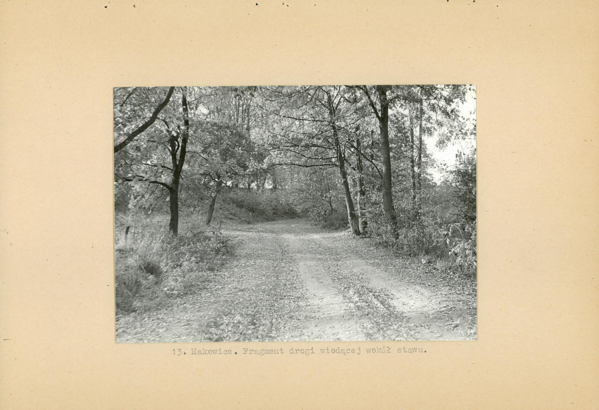 Ewidencja parkowa, skan nr 26