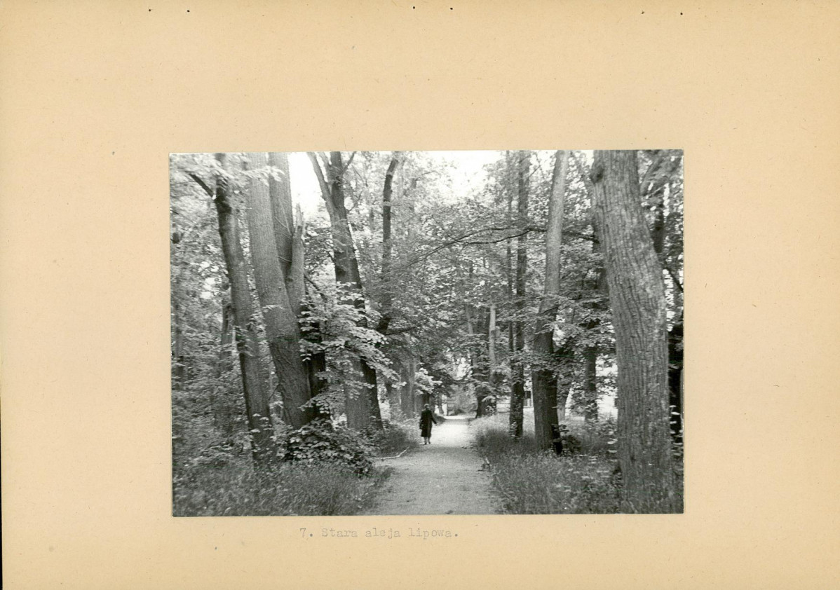 Ewidencja parkowa, skan nr 21