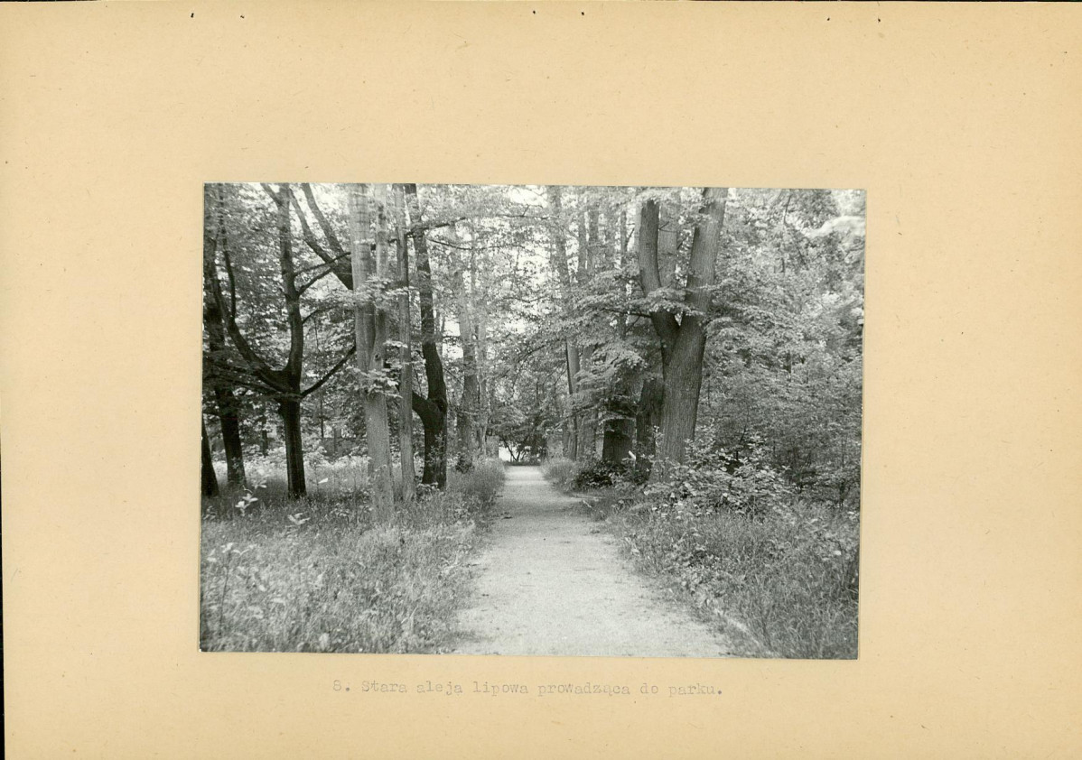 Ewidencja parkowa, skan nr 22