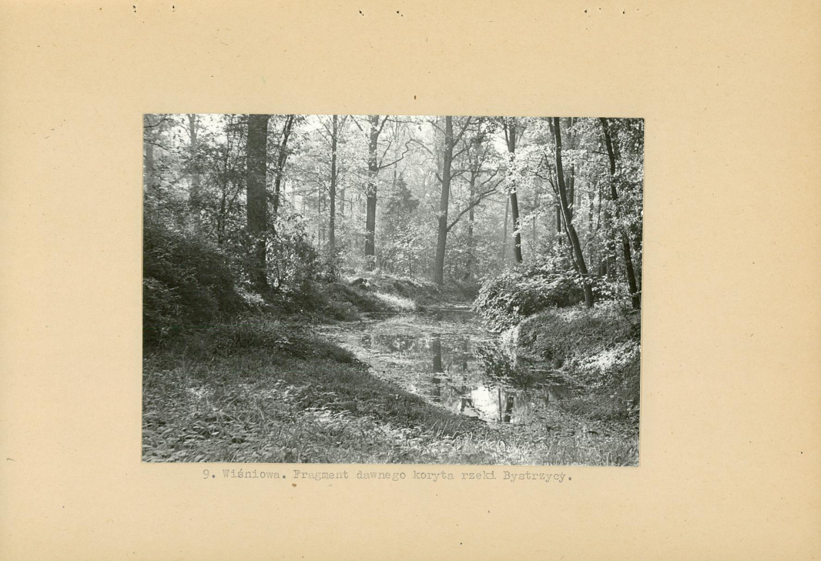 Ewidencja parkowa, skan nr 22