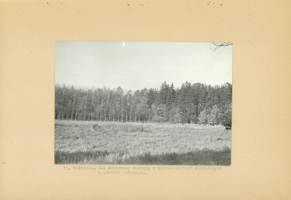 Ewidencja parkowa, skan nr 24