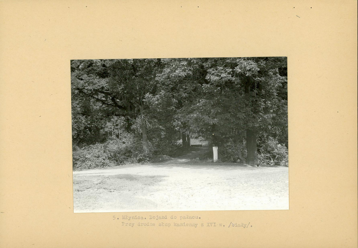 Ewidencja parkowa, skan nr 16