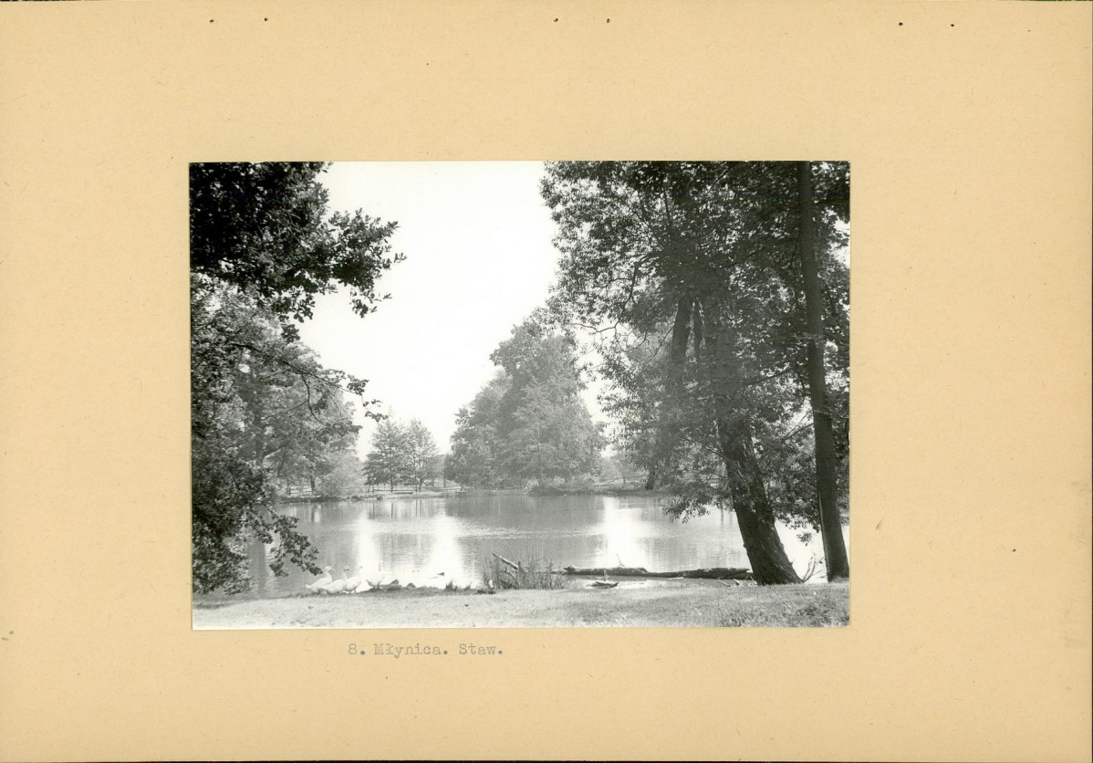 Ewidencja parkowa, skan nr 19