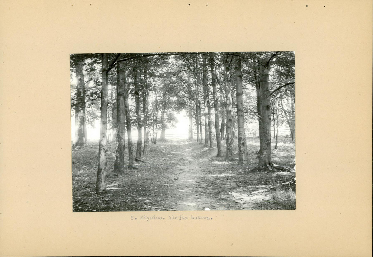 Ewidencja parkowa, skan nr 20