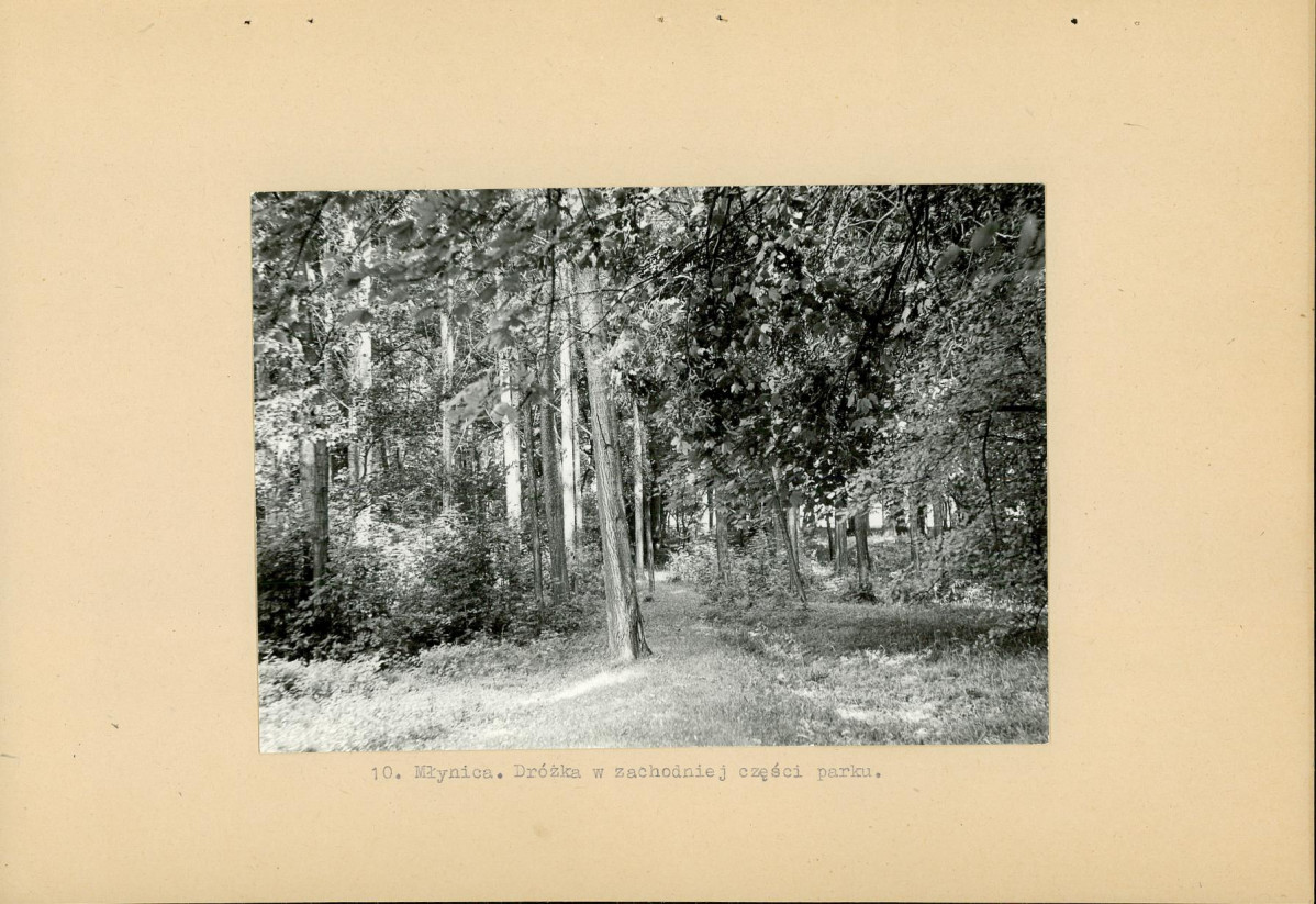 Ewidencja parkowa, skan nr 21