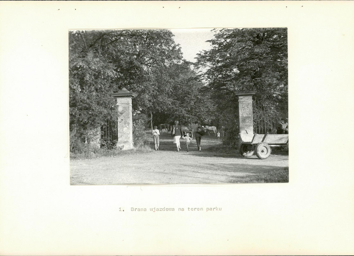 Ewidencja parkowa, skan nr 21