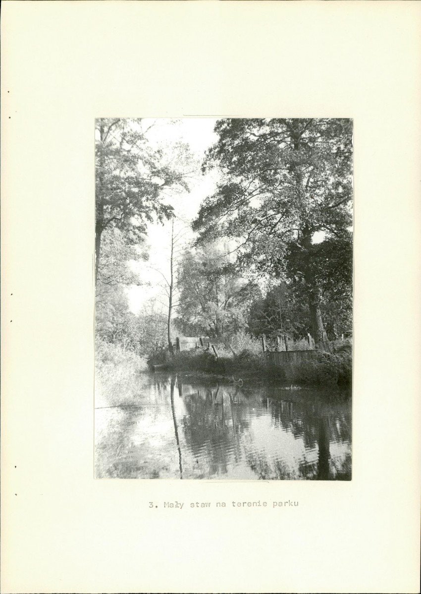 Ewidencja parkowa, skan nr 23