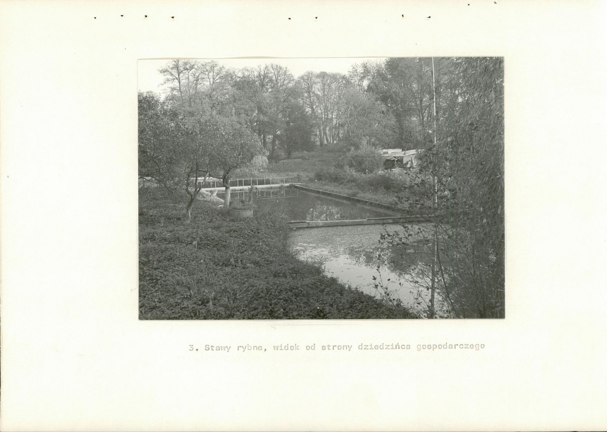 Ewidencja parkowa, skan nr 19