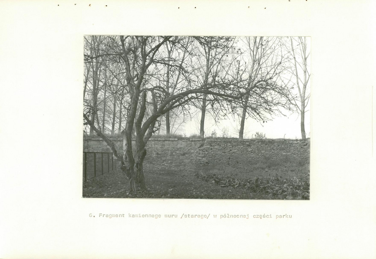 Ewidencja parkowa, skan nr 22