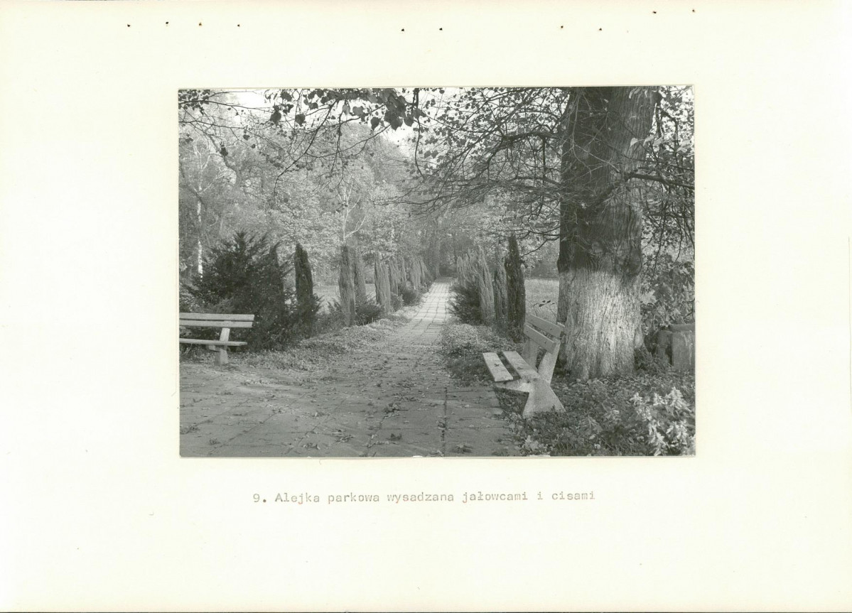 Ewidencja parkowa, skan nr 25