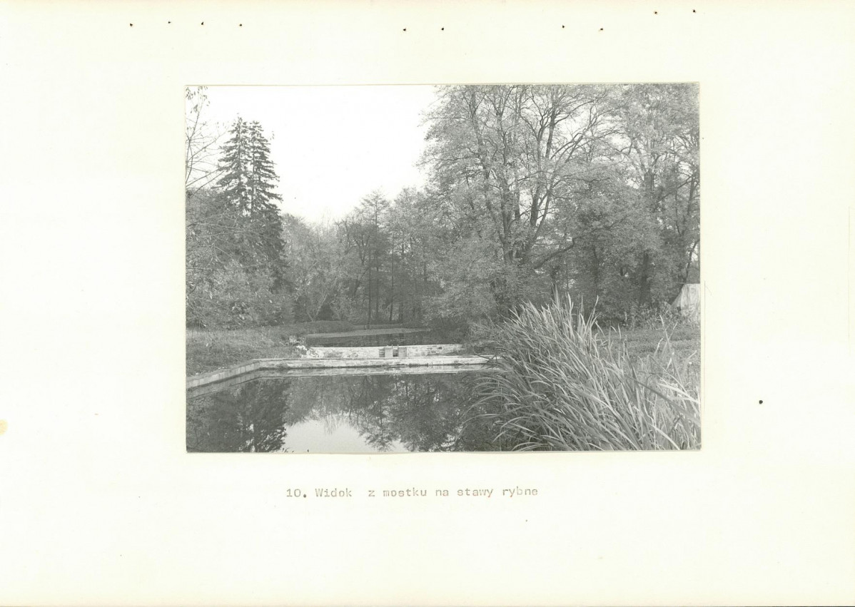 Ewidencja parkowa, skan nr 26