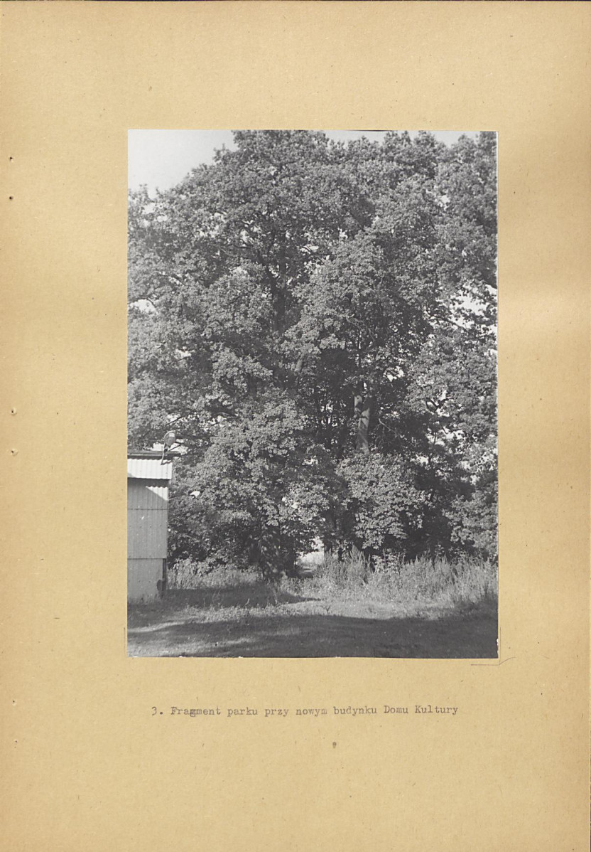 Ewidencja parkowa, skan nr 20