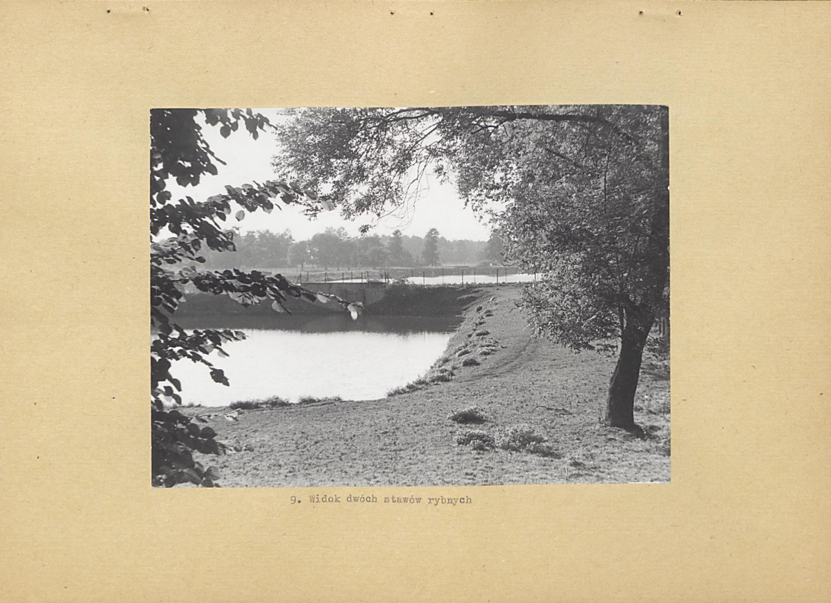 Ewidencja parkowa, skan nr 26