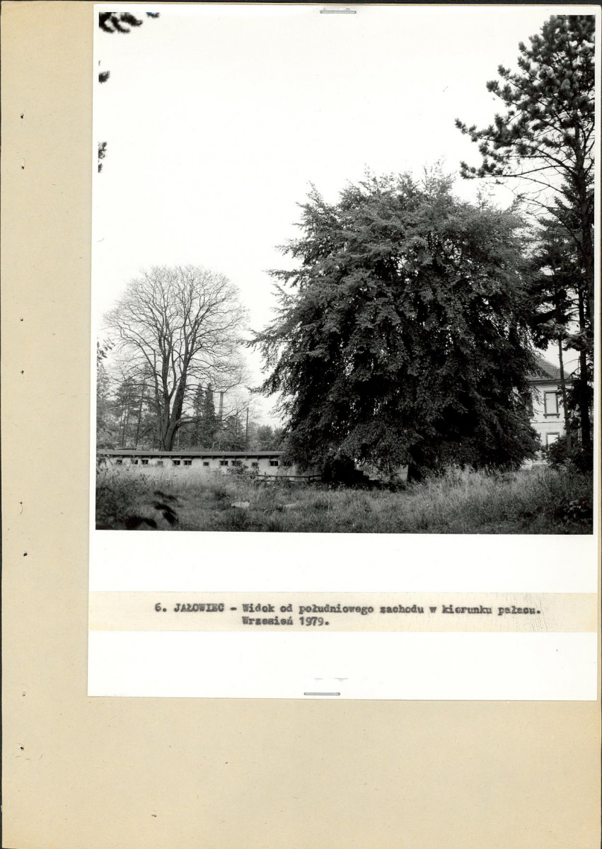 Ewidencja parkowa, skan nr 26