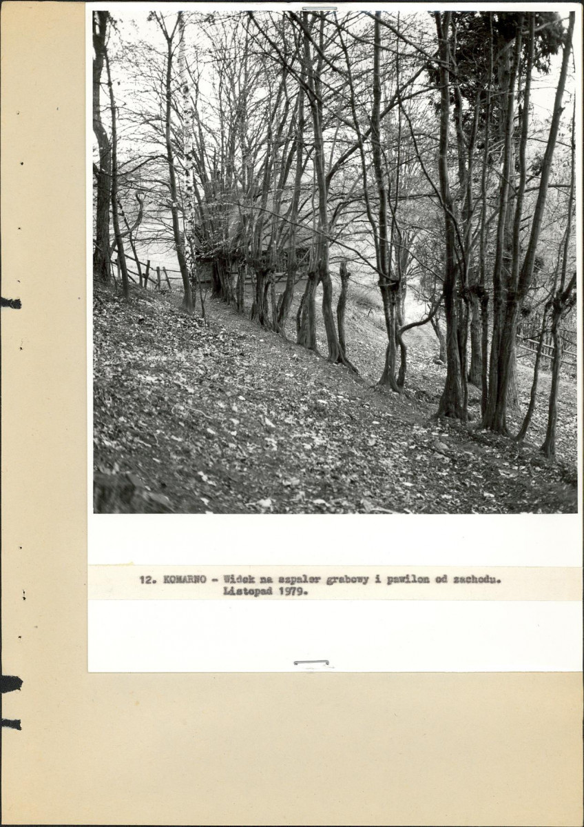 Ewidencja parkowa, skan nr 31
